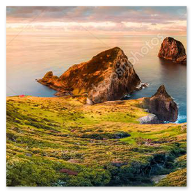 岬から望む雄大な海岸線