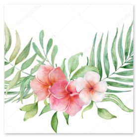 ハイビスカスと濃い緑の植栽