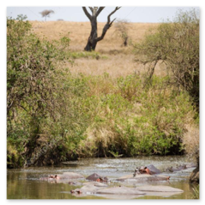 外気浴の休憩スペース
