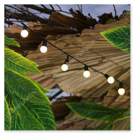 灯りに浮かぶ夜の庭